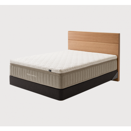 CM[K,Q,SS]-PR04_V2[M,H]